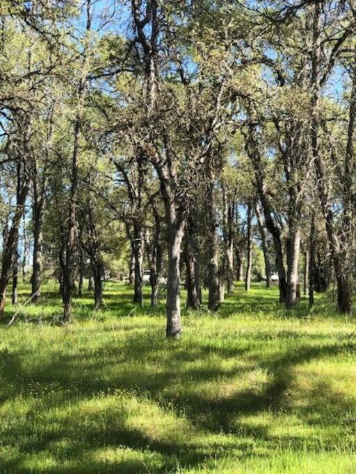 Cozy Cub Cabin, Brand New Home Near Yosemite マリポサ エクステリア 写真
