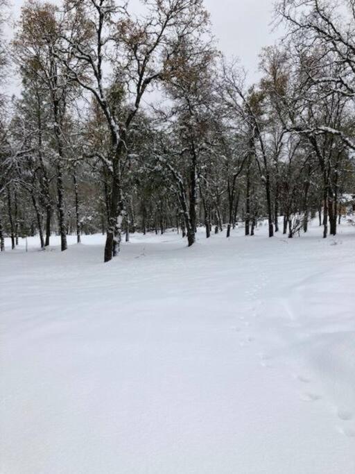 Cozy Cub Cabin, Brand New Home Near Yosemite マリポサ エクステリア 写真